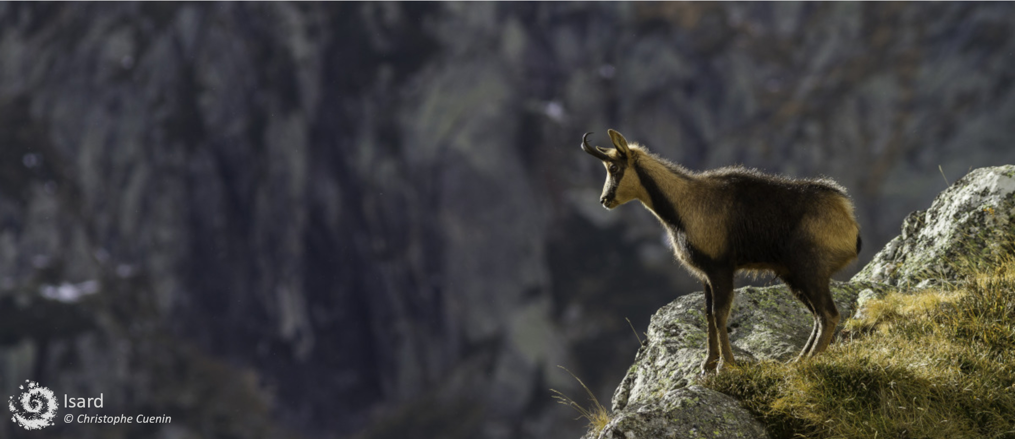 Atlas du Parc National des Pyrénées